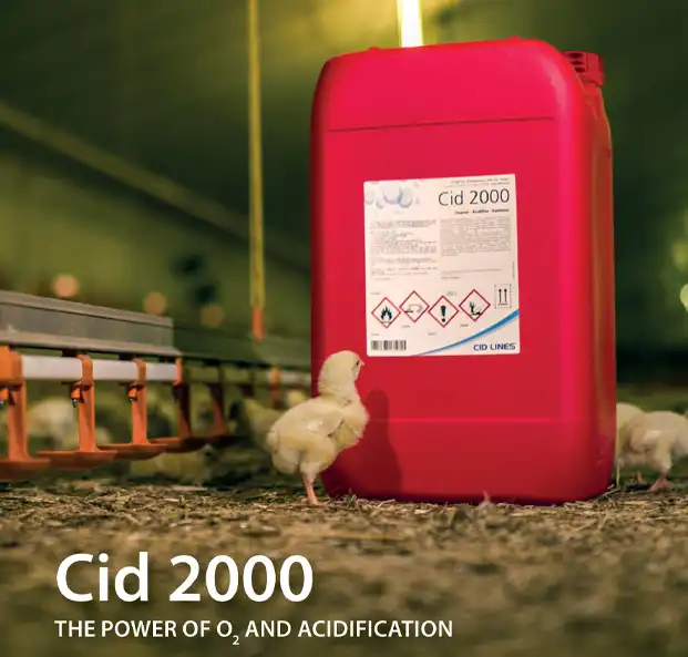 CID 2000 Leaflet cover