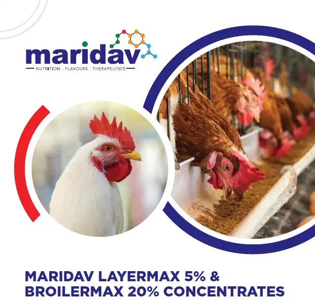 Animal Health