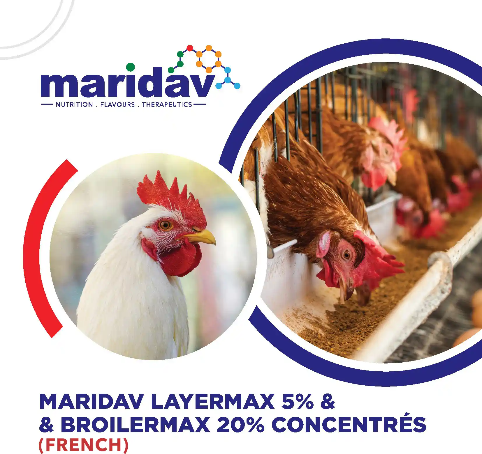 Maridav Concentrates Brochure (French) cover