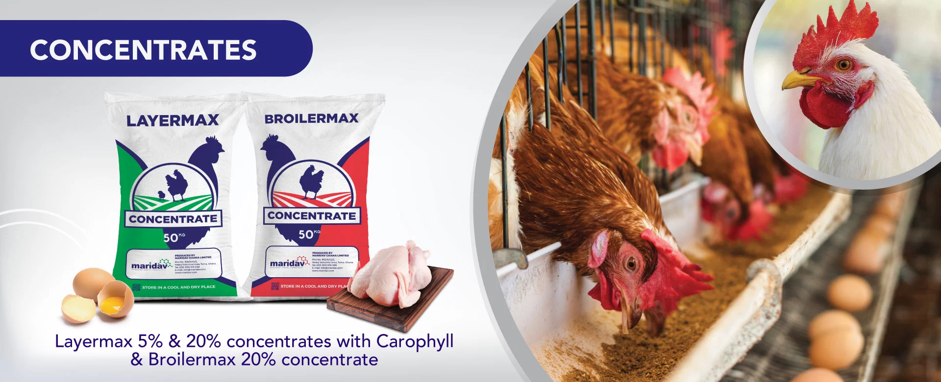 Layermax and Broilermax poultry feed concentrate bags alongside laying hens and a broiler.