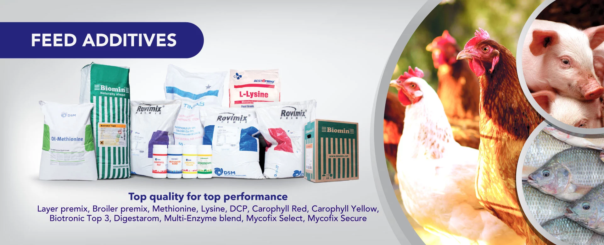 Feed additives including premixes, methionine, lysine and mineral supplements.