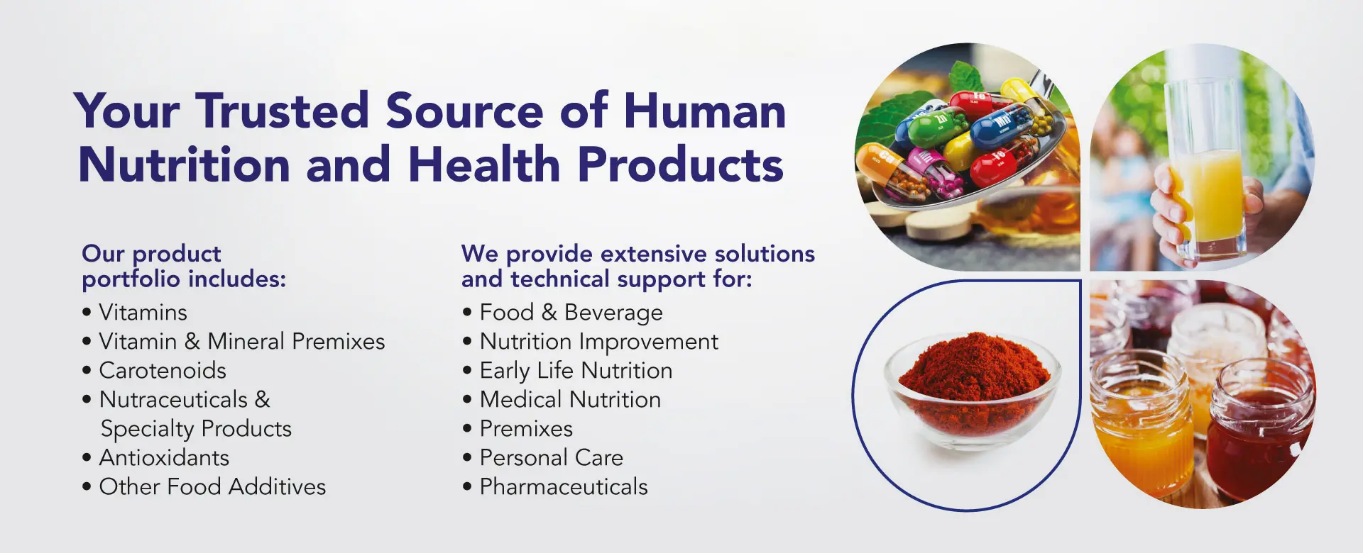 Human nutrition ingredients and applications, illustrated with capsules, juice and food ingredients.